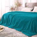 BEDELITE Fleece Blankets Queen Size Bluebird Throw Blankets by BEDELITE
