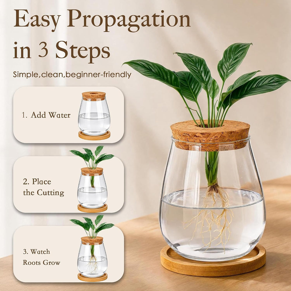 6 Pcs Plant Propagation Station Set, Glass Propagation Vases for Plants with ...