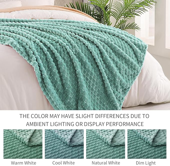 Exclusivo Mezcla Extra Large Soft Fleece Throw Blanket, 50x70 Inches 3D Clouds - Image 3