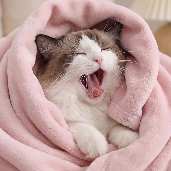 Bedsure GentleSoft Pink Fleece Blankets Queen Size - Image 3