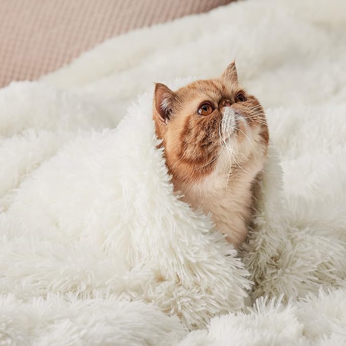 Bedsure GentleSoft Fluffy Cream Throw Blanket Decorative Blankets - Image 8