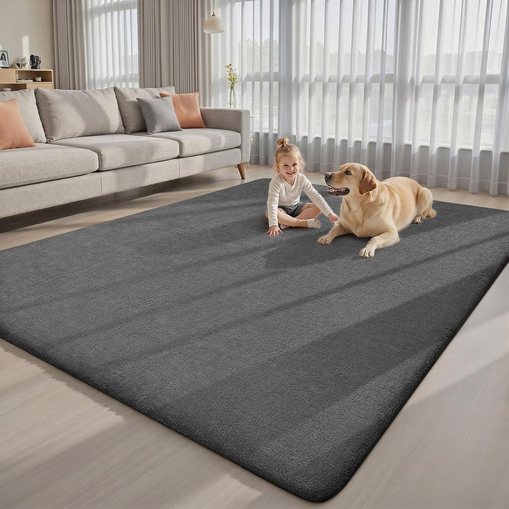 Sour Lemon 8x10 Area Rugs for Bedroom Living Room, Large Carpet Grey Rug