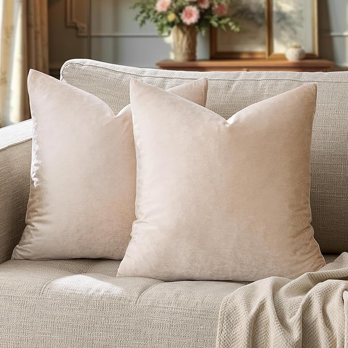 GIGIZAZA 24x24 Beige Pillow Covers: Pack of 2 Champagne Vintage Throw Pillows by GIGIZAZAFocusingonhomedecoration