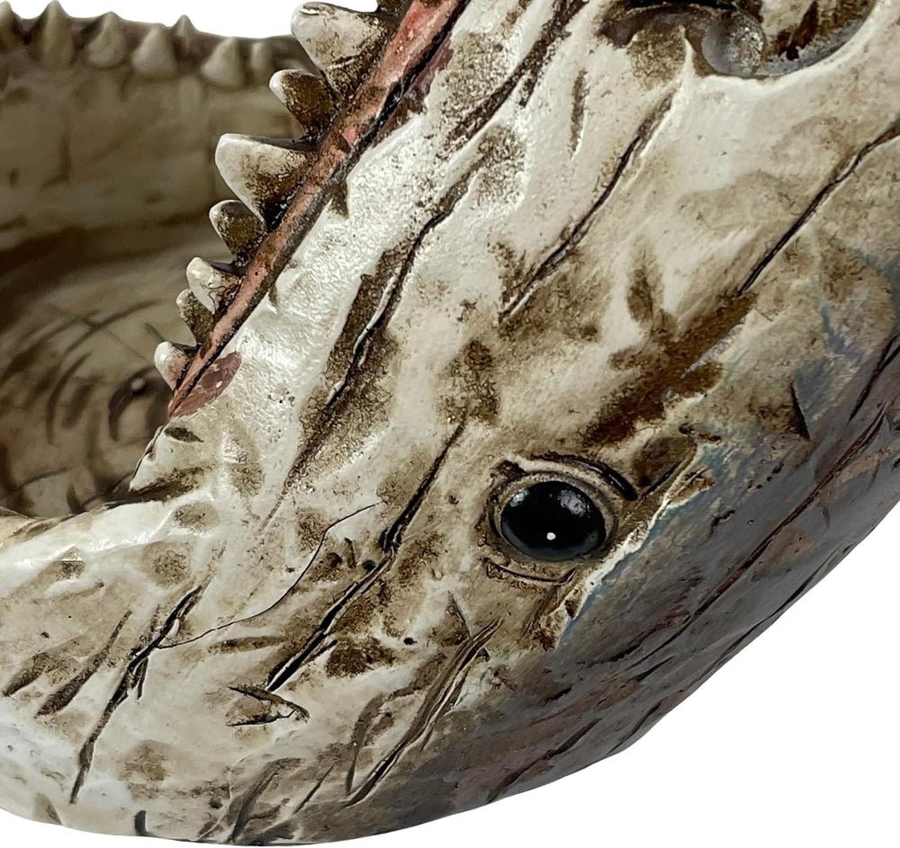 Things2Die4 Distressed Wood Finish Resin Shark Wine Bottle Holder – 7 Inches ...