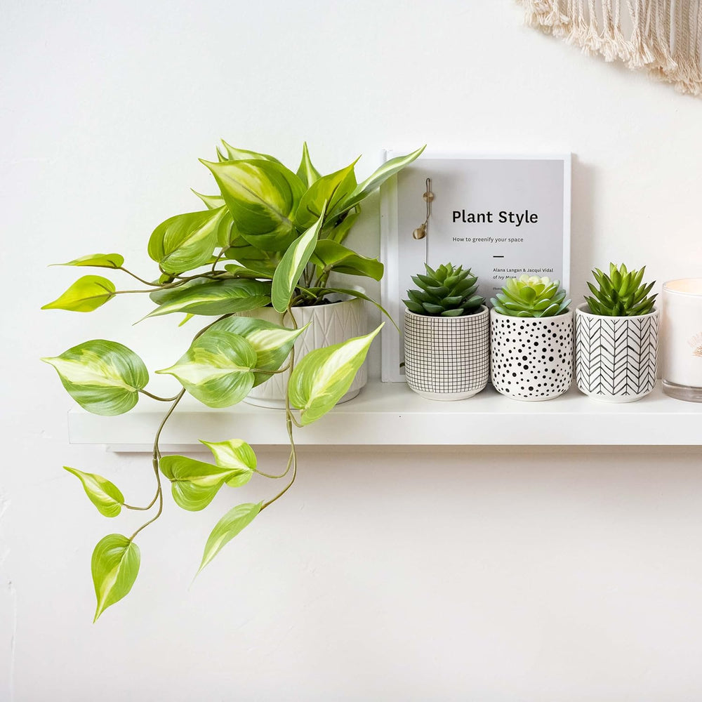 Kurrajong Farmhouse Light Green Fake pothos Plant | Fake Plant for Shelf Deco...