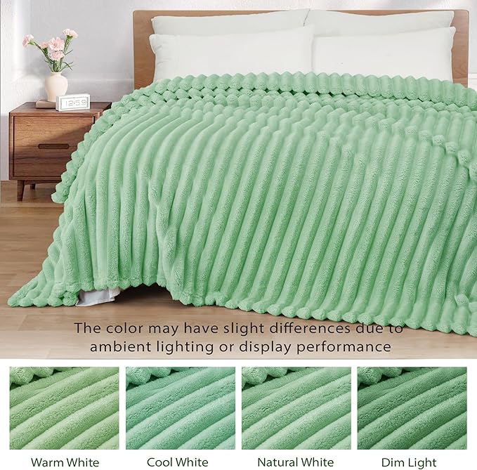 Exclusivo Mezcla Twin Size Flannel Fleece Blanket, Super Soft Striped Jacquard - Image 3