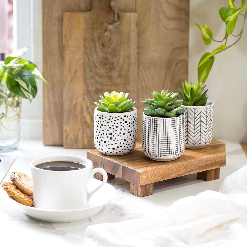 Kurrajong Farmhouse Artificial Succulents in pots | Set of 3 Black and White ...