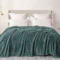 Exclusivo Mezcla Plush Fuzzy Fleece Bed Blanket Twin Size, Super Soft, Fluffy by ExclusivoMezcla
