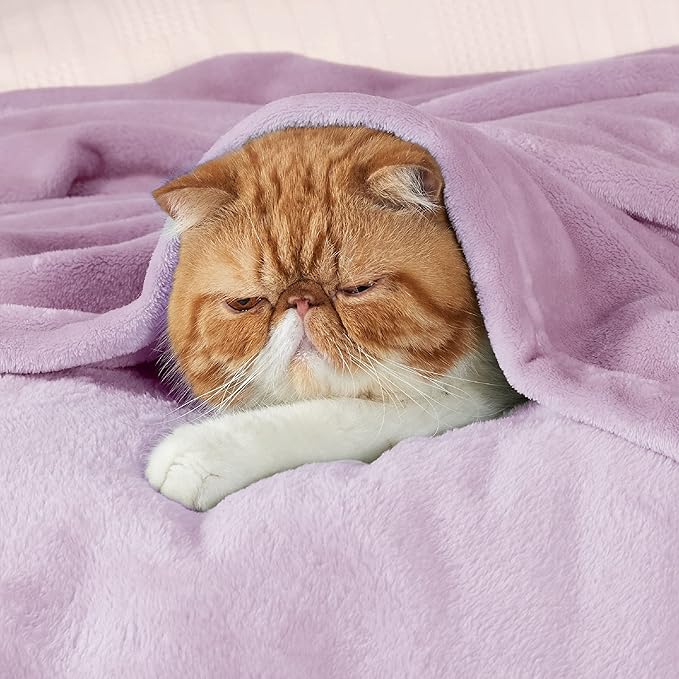 Bedsure GentleSoft Bedding Fleece Blanket - Image 6