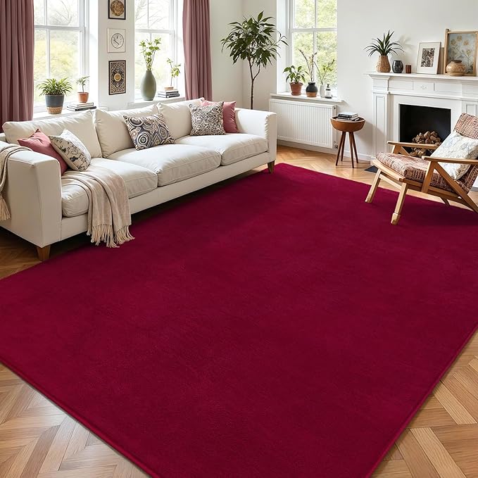 AROGAN Modern Shag Area Rug for Living Room, 5x7 Feet Washable Indoor Floor - Image 3