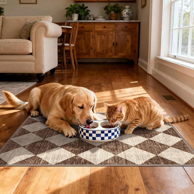 Front Door Rug - 2x3 Brown Beige Non-Slip Washable Doormat Indoor Outdoor Mat - Image 5
