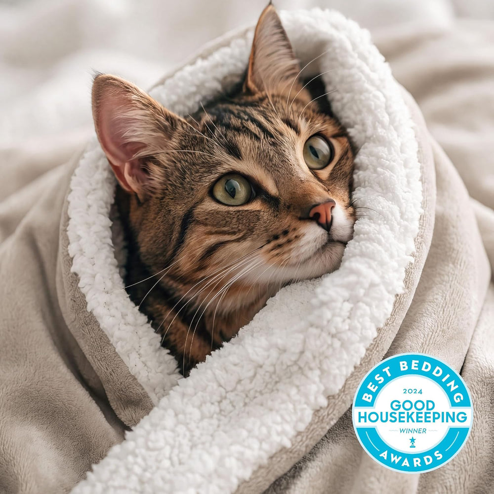 Bedsure GentleSoft Sherpa Fleece Twin Size Blanket for Couch, Non-Heated, Thi...