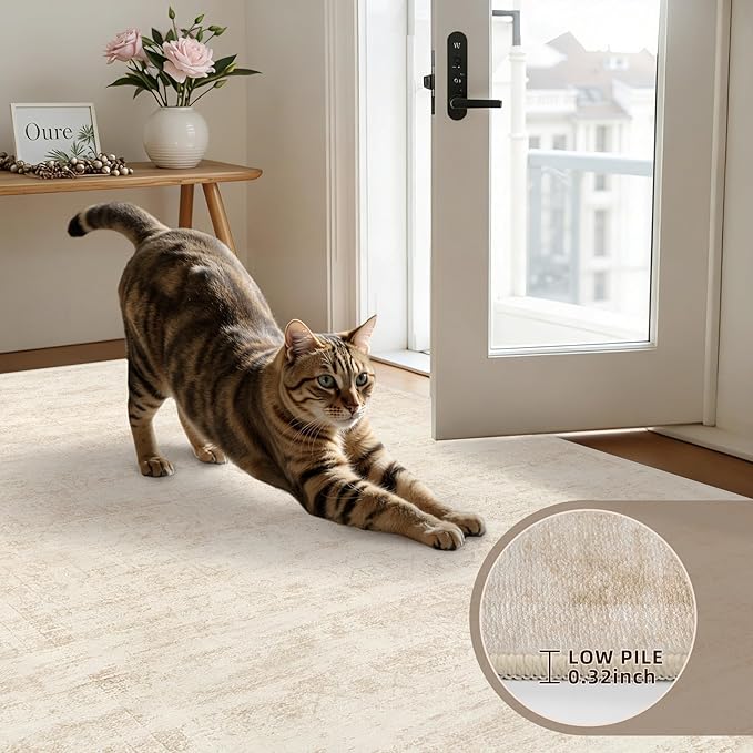 5x7 Area Rugs for Living Room: Vintage Boho Neutral Washable Rug Indoor Soft - Image 7