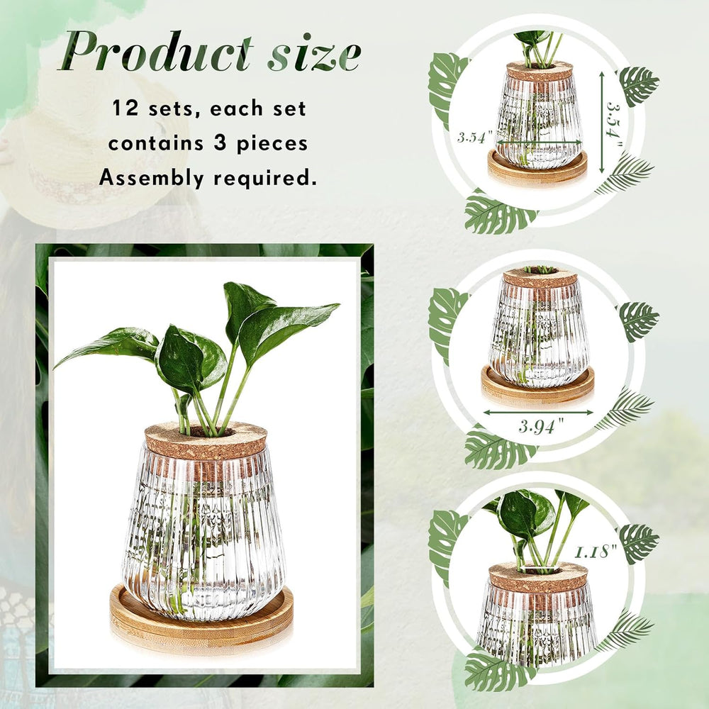 Baderke 12 Pack Propagation Vases for Plants, Vertical Grain Style