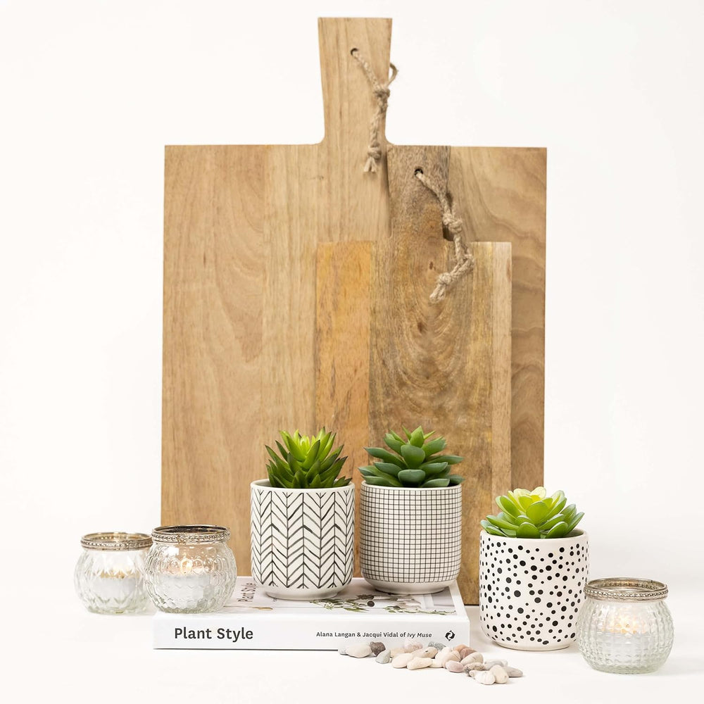 Kurrajong Farmhouse Artificial Succulents in pots | Set of 3 Black and White ...