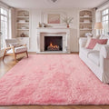 6x9 Area Rug for Living Room: Fluffy Shag Soft Washable Rugs Large Fuzzy Plush by VECARF