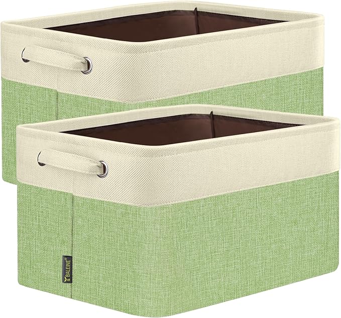 BALEINE 2 Pack Fabric Closet Storage Bins by BALEINE