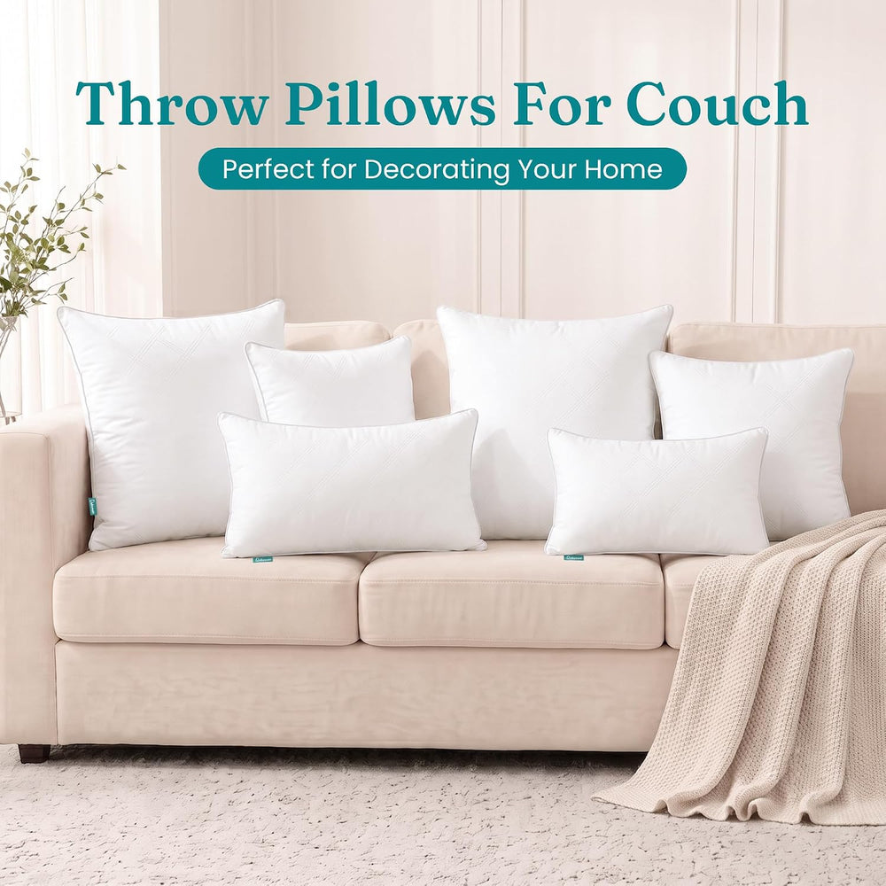 Oubonun 22x22 Throw Pillow Inserts Set of 2, Soft Decorative Couch Cushion