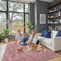 Rugs for Bedroom 4x6, Alfombras para Salas Shag Large Plush Soft Area Rug by Junhejiamei