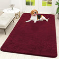 OLANLY Dog Door Mat for Muddy Paws 70x46, Absorbs Moisture and Dirt, Absorbent by OLANLY