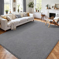 AROGAN Modern Shag Area Rug for Living Room, 5x7 Feet Washable Rugs for Bedroom by AROGANAREARUG