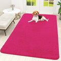 OLANLY Dog Door Mat for Muddy Paws 70x46, Absorbs Moisture and Dirt, Absorbent by OLANLY