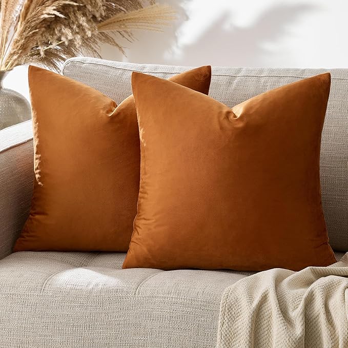GIGIZAZA Velvet Throw Pillow Covers 24x24 Dark Burnt Orange Pillows Couch by GIGIZAZAFocusingonhomedecoration