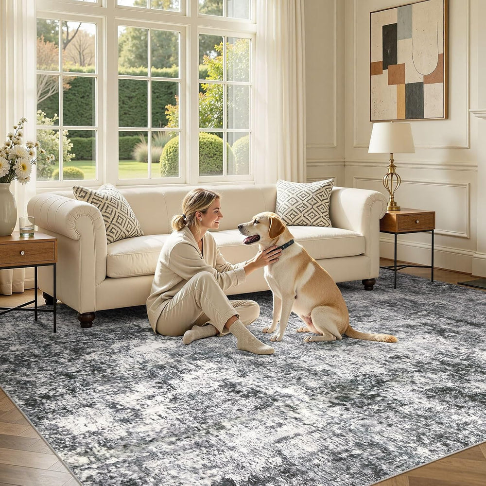 DMOYEST Area Rug Living Room Rugs 10x14 Washable Abstract Grey Carpet