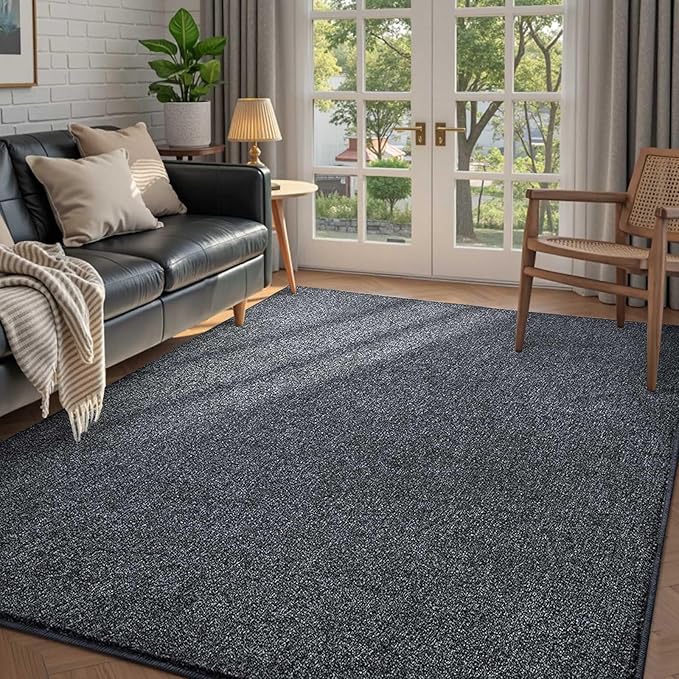 FinRèc 4x6 Washable Area Rugs for Bedroom Living Room, Low Pile Thin Rug Solid by FinRe%CC%80cHome
