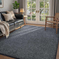 FinRèc 4x6 Washable Area Rugs for Bedroom Living Room, Low Pile Thin Rug Solid by FinRe%CC%80cHome