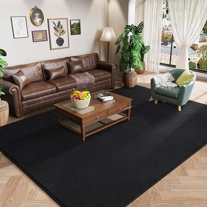 Amearea Modern Area Rugs for Bedroom Living Room, 4x6 Feet Black Thickened by AmeareaDirect