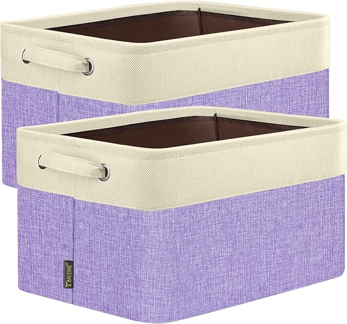 BALEINE 2 Pack Fabric Closet Storage Bins by BALEINE