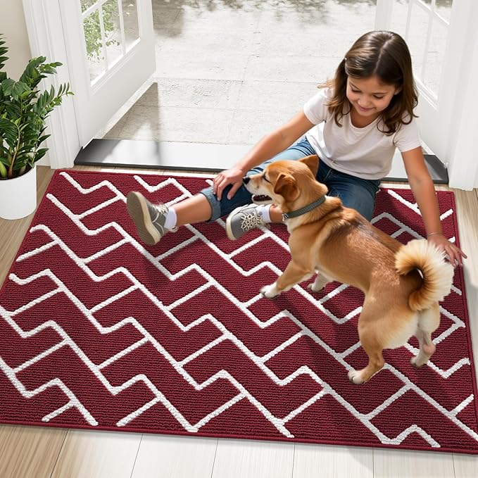 OLANLY Front Door Mat, Non-Slip Rubber Backing, Dirt Resistant and Absorbent - Image 8