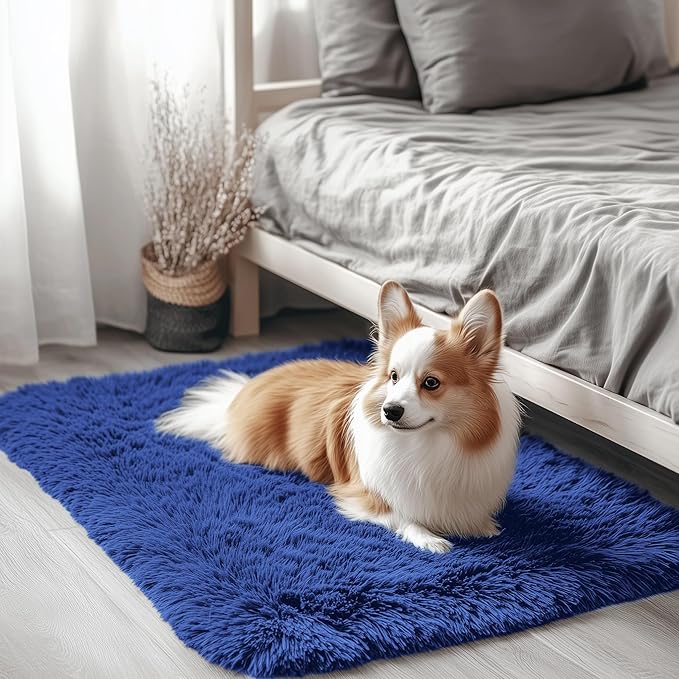 OLANLY 2x3 Machine Washable Small Bedside Rug, Soft Fluffy Shaggy Entryway by OLANLY