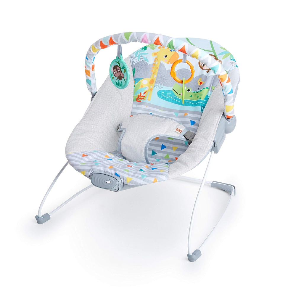 Bright Starts Baby Bouncer Soothing Vibrations Infant Seat - Removable -Toy B...