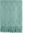 BOURINA Dark Cyan Throw Blanket 50 x90 Inches Textured Solid Soft Sofa Throw by BOURINA