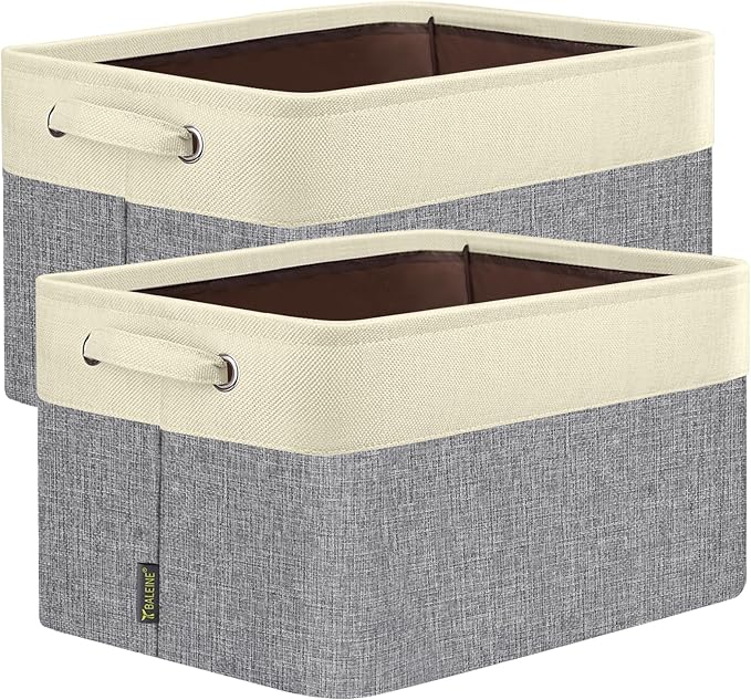 BALEINE 2 Pack Fabric Closet Storage Bins by BALEINE