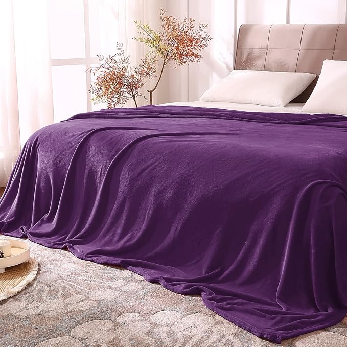 BEDELITE Fleece Blankets Queen Size Purple Throw Blankets by BEDELITE