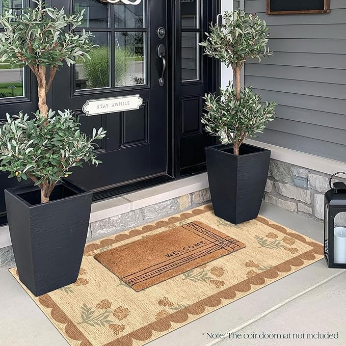 Front Door Mat Indoor Entrance