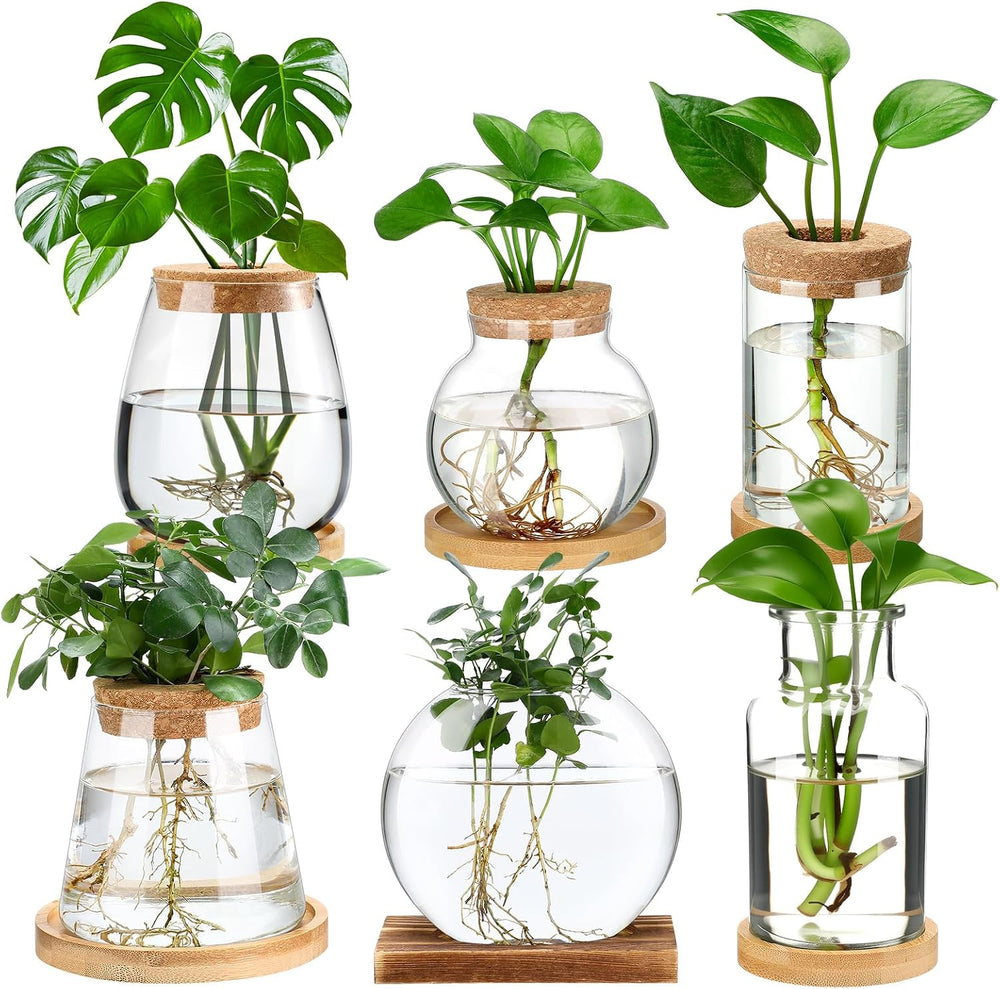 6 Pcs Plants Propagation Station Planter Terrariums Wooden Lid Bamboo Stand