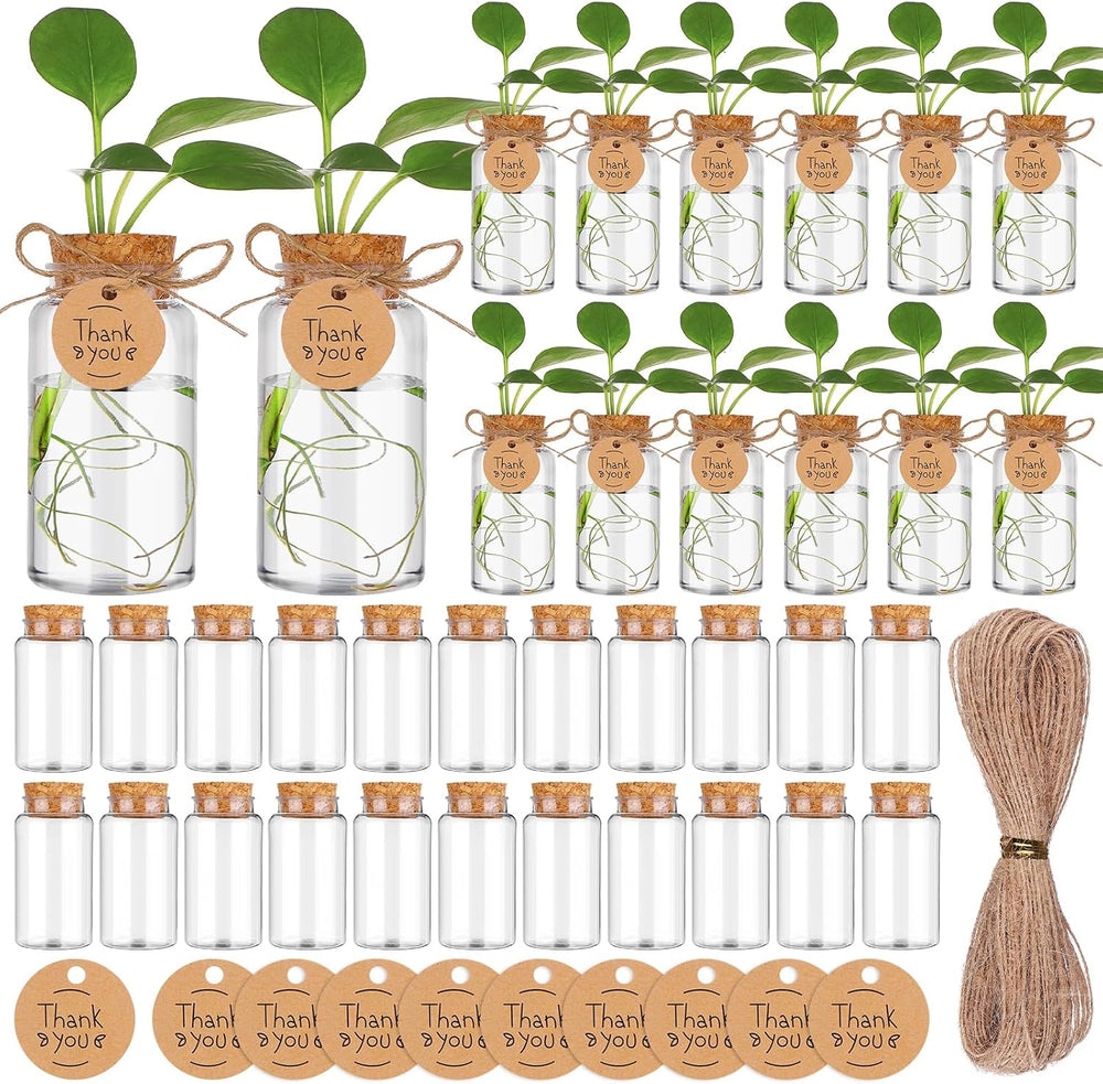 36 Packs Plant Propagation Stations with Hole Lid Clear Plastic Cultivation B...