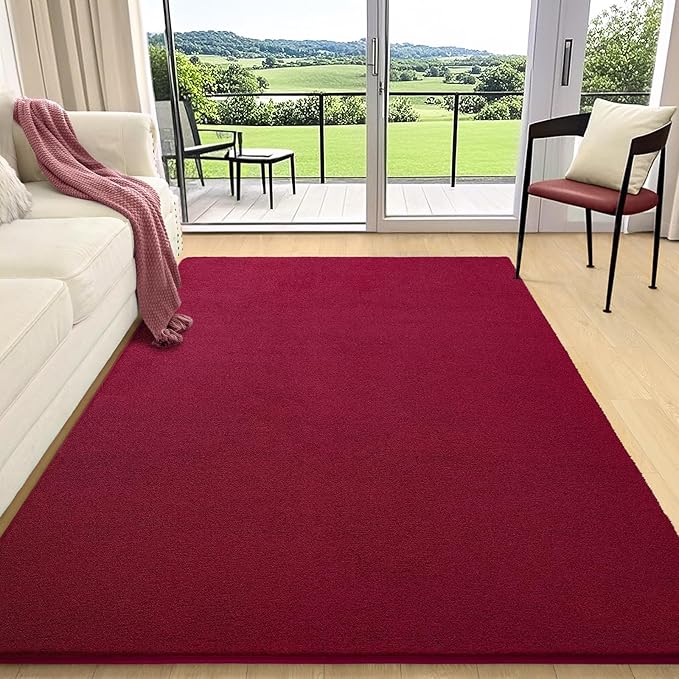 AROGAN Modern Shag Area Rug for Living Room, 5x7 Feet Washable Indoor Floor by AROGANAREARUG