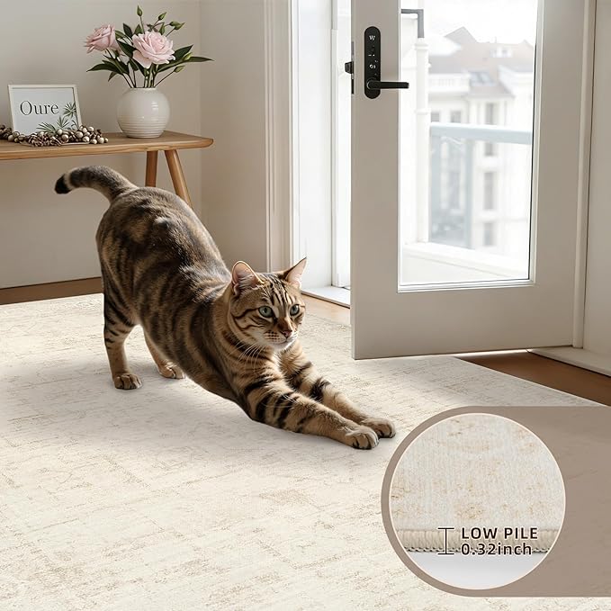 5x7 Area Rugs for Living Room: Vintage Boho Neutral Washable Rug Indoor Soft - Image 7