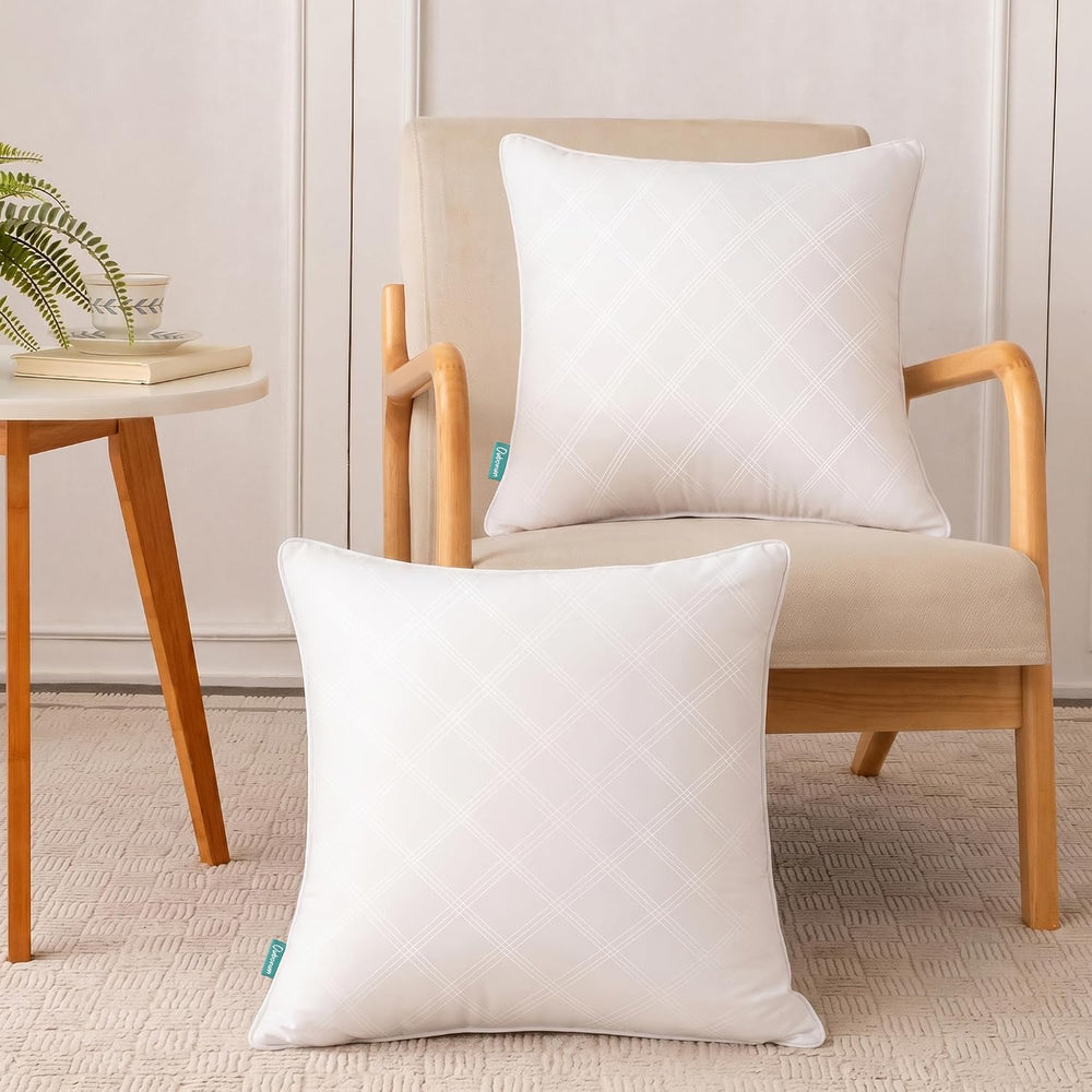 Oubonun 22x22 Throw Pillow Inserts Set of 2, Soft Decorative Couch Cushion