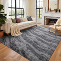 Area Rugs for Living Room, Tie-Dyed 4x6 Feet Soft Fluffy Shagg Plush Rug High by Cuzwlovita