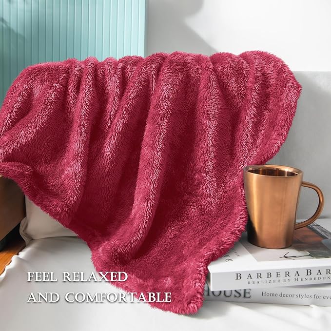 Exclusivo Mezcla Plush Fuzzy Fleece Bed Blanket Queen Size, Super Soft - Image 5
