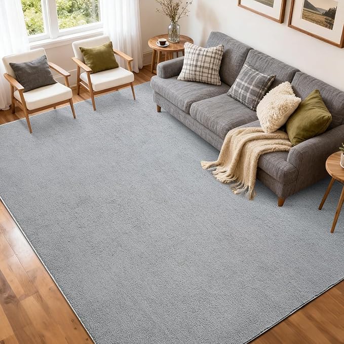 FinRèc 5x7 Washable Area Rugs for Bedroom Living Room, Low Pile Thin Rug Solid by FinRe%CC%80cHome
