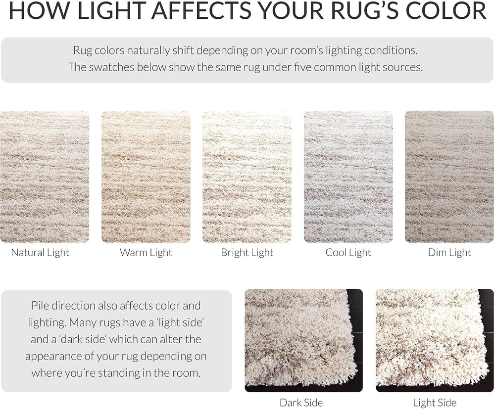 SAFAVIEH Hudson Shag Rug 8x10, Large Ivory & Beige SGH206B