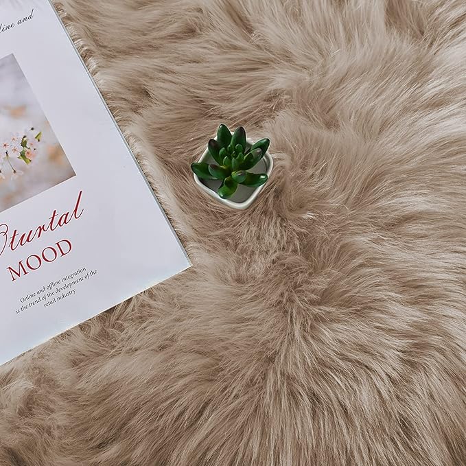 Latepis Light Brown Beige 5X6.7 Faux Fur Rug Fluffy Fuzzy Throw Rugs Washable - Image 6