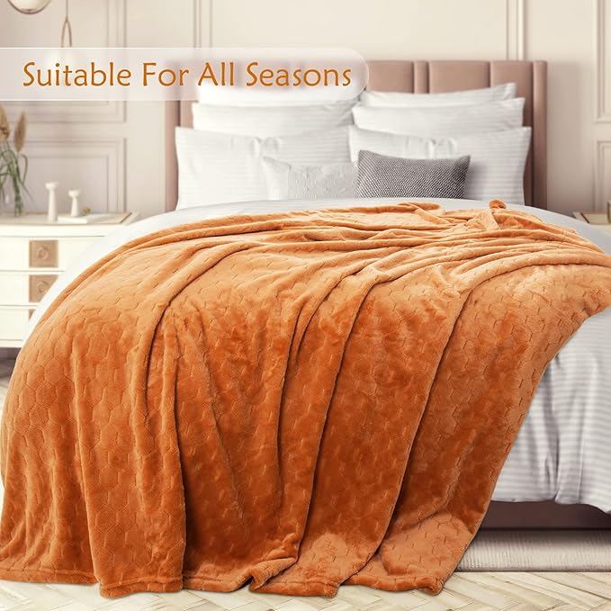 TOONOW Fleece Blanket Textured Fuzzy Plush Throw Blanket Twin Size 60" x 80" - Image 3